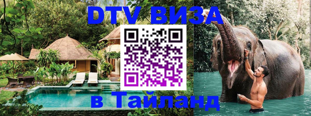 Оформление DTV визы под ключ: стоимость и тарифы, только загранпаспорт - 